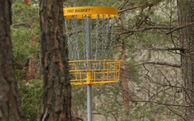 Choosing the Right Discs for Disc Golf: A Comprehensive Guide