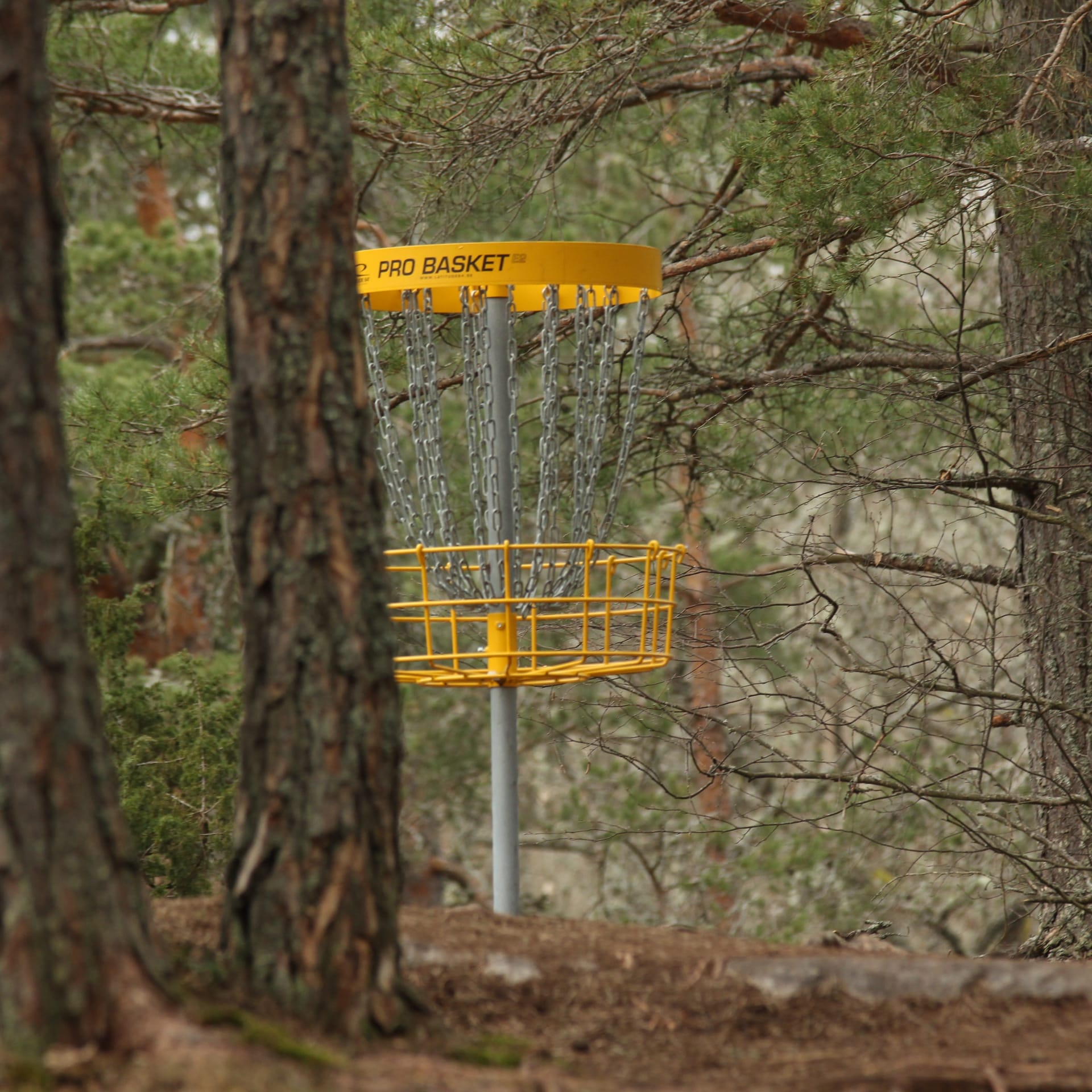 Choosing the Right Discs for Disc Golf: A Comprehensive Guide - Rait ...